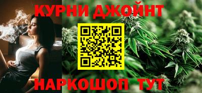 индика Нягань