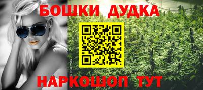 индика Нягань