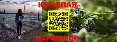 индика Новодвинск