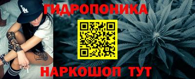 эйфоретик Обь