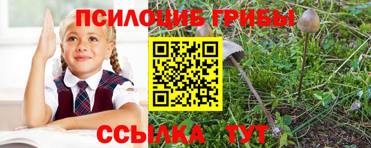 Обнинск  Псилоцибиновые грибы GOLDEN TEACHER  Вход с VPN 