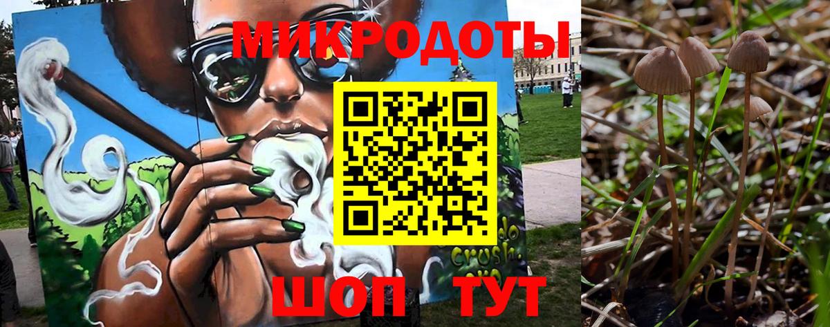 Галлюциногенные грибы Magic Shrooms Обнинск